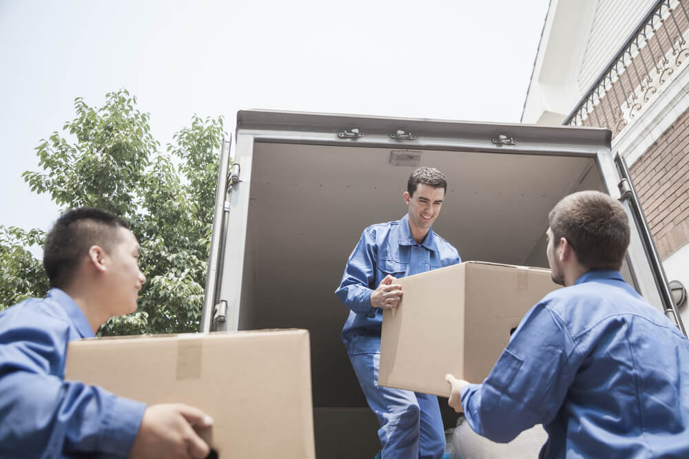 Furniture Transportation Services