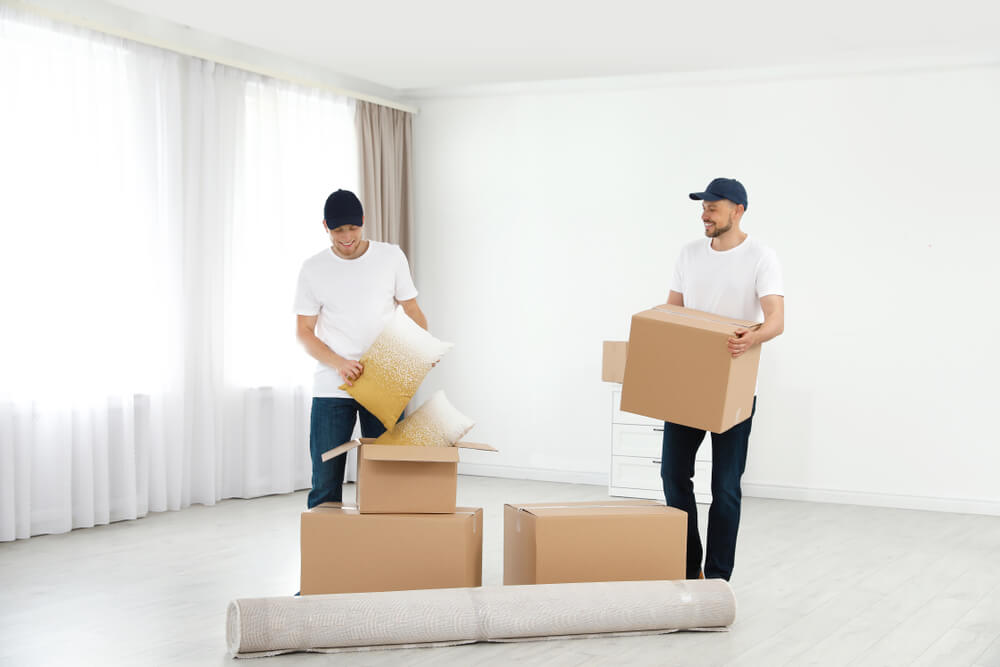 Professional Movers In Van Nuys